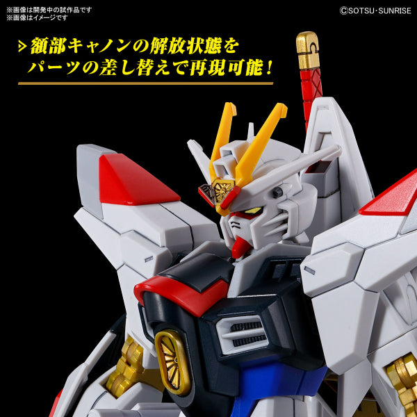 HG 1/144 MIGHTY STRIKE FREEDOM GUNDAM 機動戰士 高達 突擊自由高達極 非凡突擊自由高達
