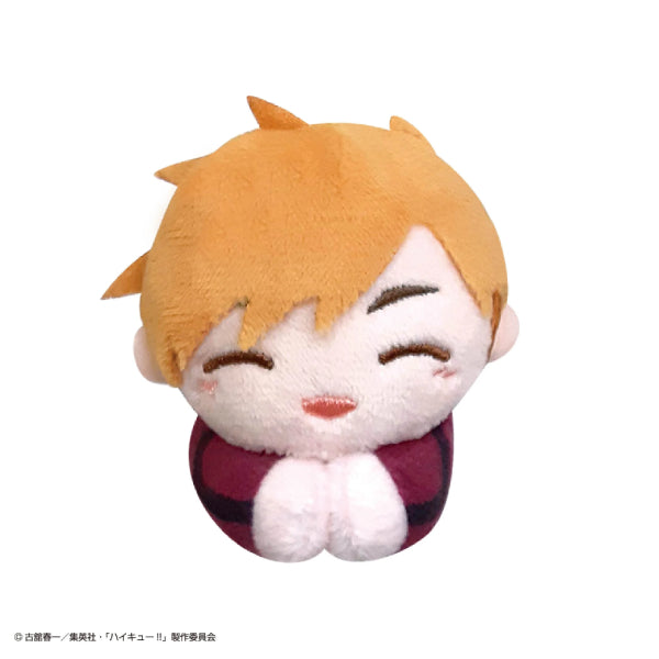 Haikyu!! Hagu Chara Collection Special (set of 10) (2024 June Resale ver.) 排球少年 hug