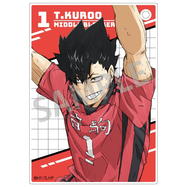 Haikyu!! Trading Acrylic Cards (set of 10) 排球少年 收藏卡