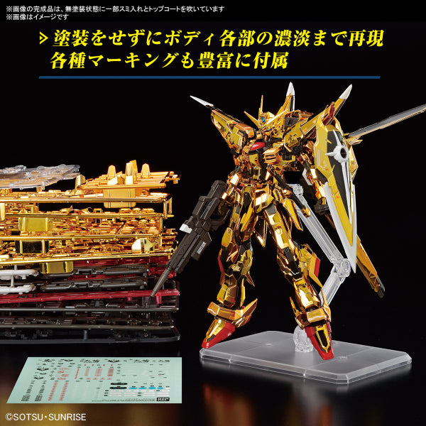 RG 1/144 AKATSUKI GUNDAM OOWASHI unit 機動戰士 高達 曉高達 大鷲裝備