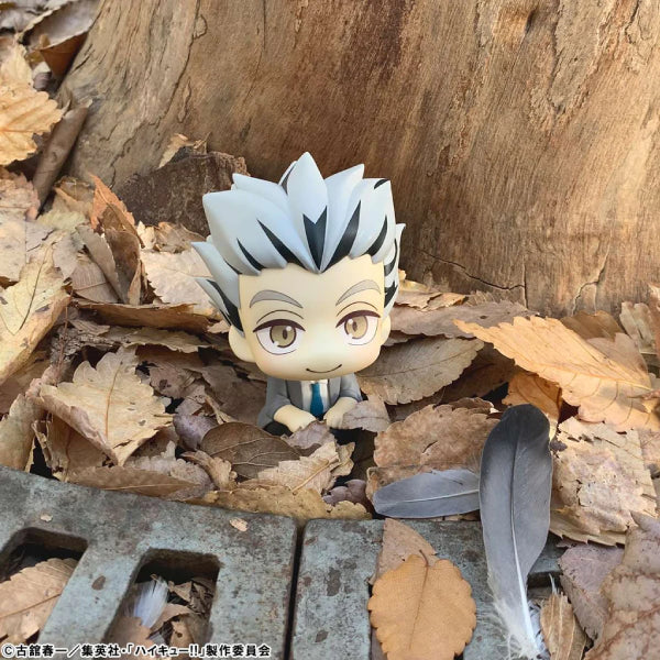 Lookup Haikyu!! (Kotaro Bokuto / Keiji Akaashi) 排球少年 (木兔光太郎 / 赤葦京治)