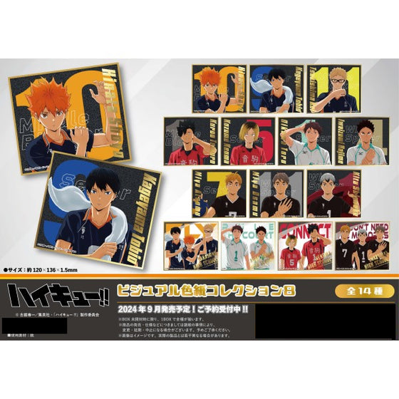 Haikyu!! Visual Shikishi Collection 8 (pack of 14) 排球少年 色紙 shikishi kirakira