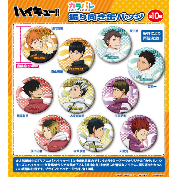 Color Palette Haikyu!! Turn Around Can Badge (Set of 10) 排球少年 襟章