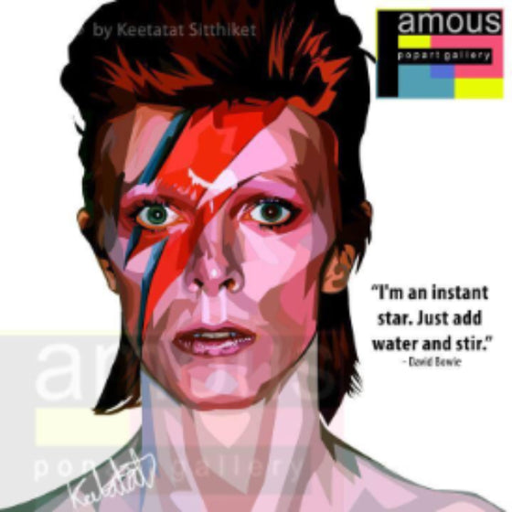 Pop Art Wall Decoration Drawing (David Bowie) 掛畫