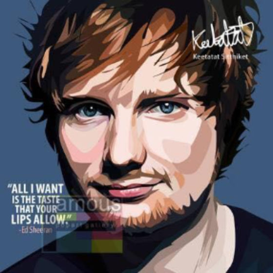 Pop Art Wall Decoration Drawing (Ed Sheeran) 掛畫