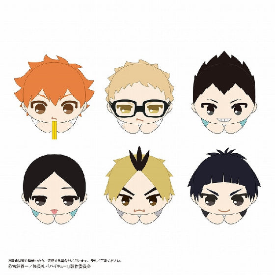Haikyu!! Hug Character Collection 9 (set of 6) 排球少年 胖胖 夾