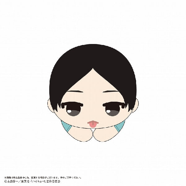 Haikyu!! Hug Character Collection 9 (set of 6) 排球少年 胖胖 夾