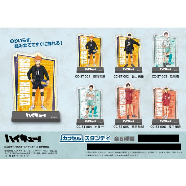Haikyu!! Puzzle Standee 排球少年 日向翔陽 影山飛雄 及川撤 岩泉一 黒尾鐵朗 孤爪研磨 立牌