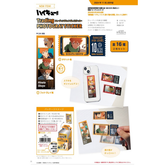 Haikyu!! Trading Photo Gray Stickers (pack of 16) 排球少年 貼紙