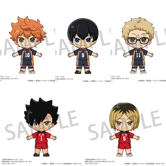 Acrylic Doll HAIKYU!! (Shoyo Hinata/ Tobio Kageyama/ Kei Tsukishima/ Tetsuro Kuroo/ Kenma Kozume) 排球少年 日向翔陽 影山飛雄 月島螢 黒尾鐵朗 孤爪研磨
