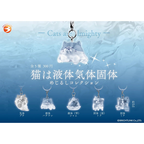 Cats Are Liquid, Gas & Solid Marker Charm (box of 12)