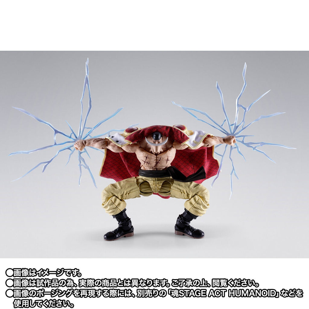 [魂SHOP限定] SHF 愛德華·紐歌特 (白鬍子) -瑪林科特頂上決戰-