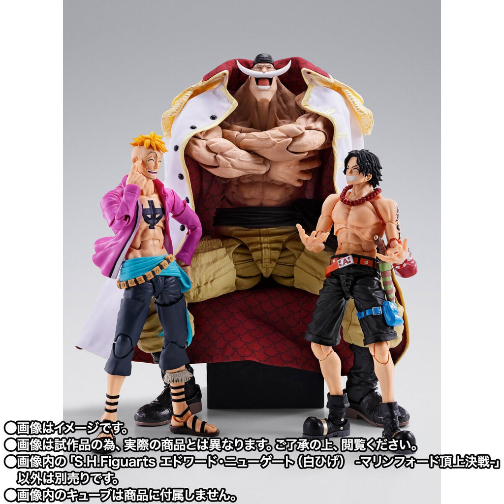 [魂SHOP限定] SHF 愛德華·紐歌特 (白鬍子) -瑪林科特頂上決戰-