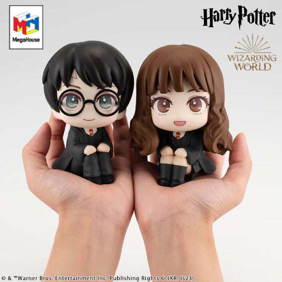 Lookup【Harry Potter】(Harry Potter / Hermione Granger) (哈利波特 / 妙麗格蘭傑)