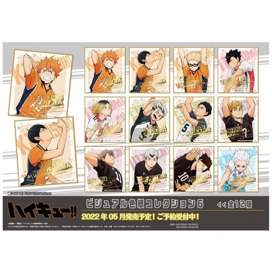 Haikyu !! 排球少年 Visual Shikishi Collection 6 (Set of 12)