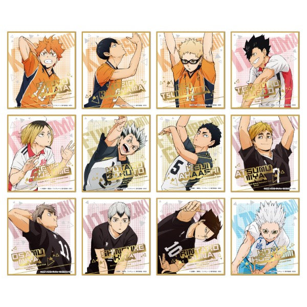Haikyu !! 排球少年 Visual Shikishi Collection 6 (Set of 12)