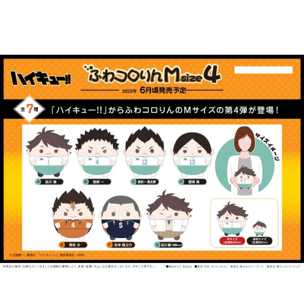 Haikyu!! 排球少年 Fuwakororin Msize 4 (7 variants)