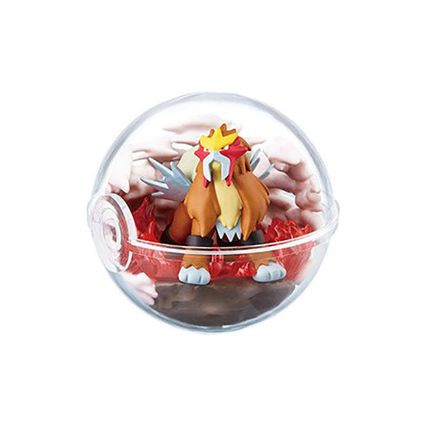 Pokemon Terrarium Collection 6 Pikachu Mew Entei Treecko Figures