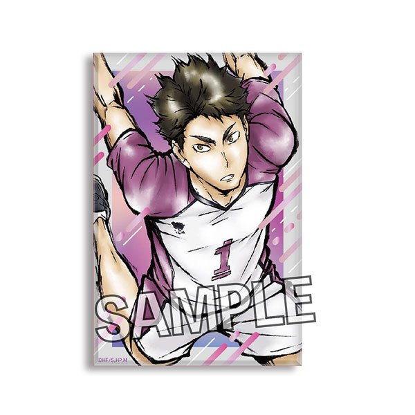 Haikyu!! Gekito!! Tsumi Art Block Series