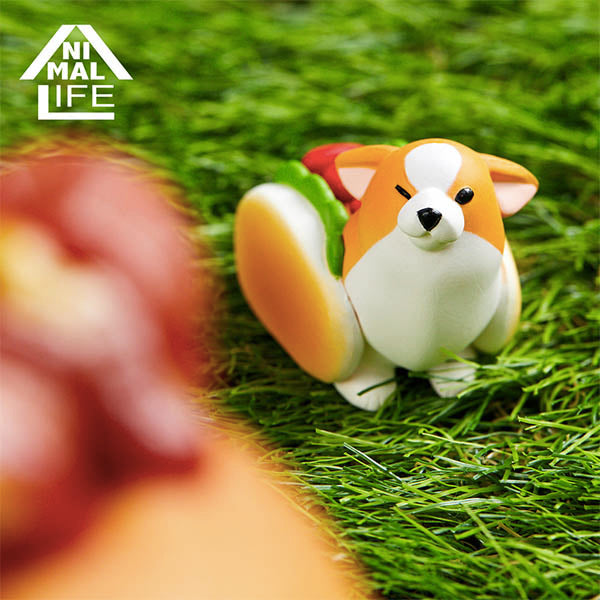 Animal Life - The Daily Corgi (Set of 6)