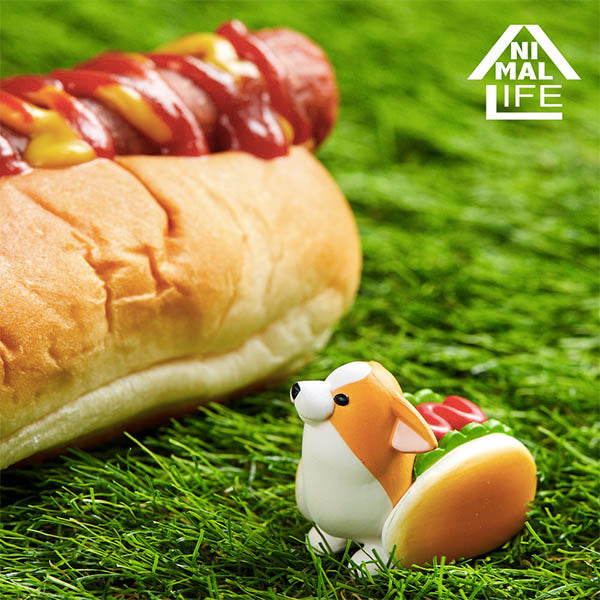 Animal Life - The Daily Corgi (Set of 6)