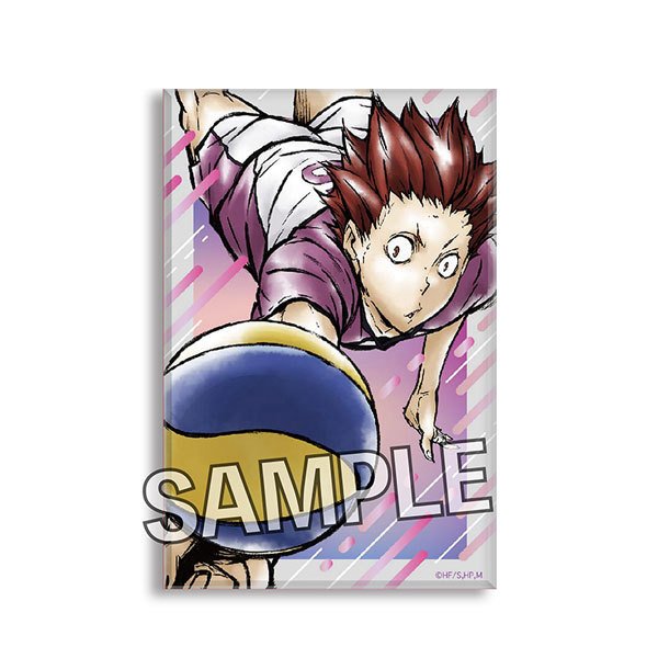 Haikyu!! Gekito!! Tsumi Art Block Series