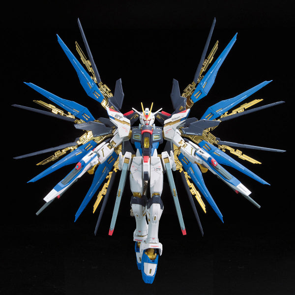 RG 1/144 Strike Freedom Gundam 機動戰士 高達 突擊自由高達