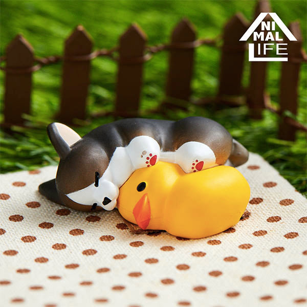 Animal Life - The Daily Corgi (Set of 6)