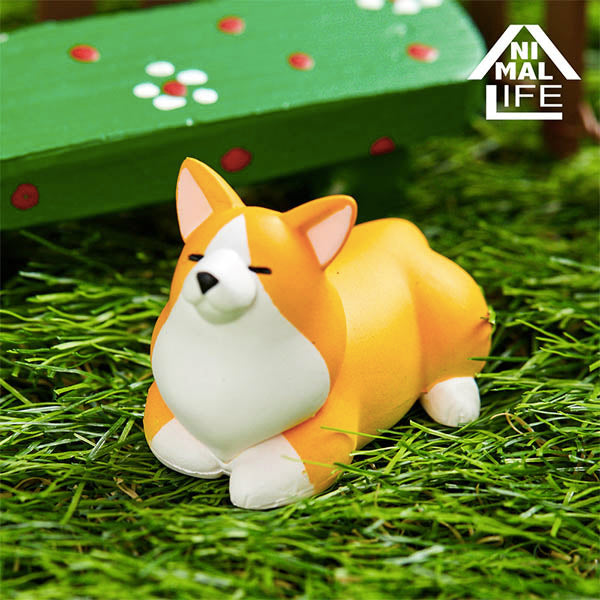 Animal Life - The Daily Corgi (Set of 6)