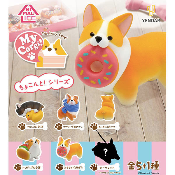Animal Life - The Daily Corgi (Set of 6)