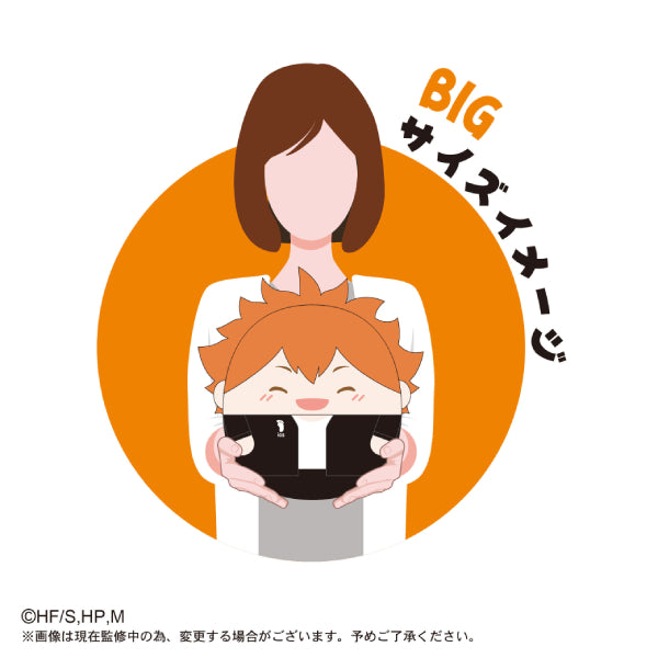 Haikyu!! 排球少年 Fuwakororin Big Special (10 variants)