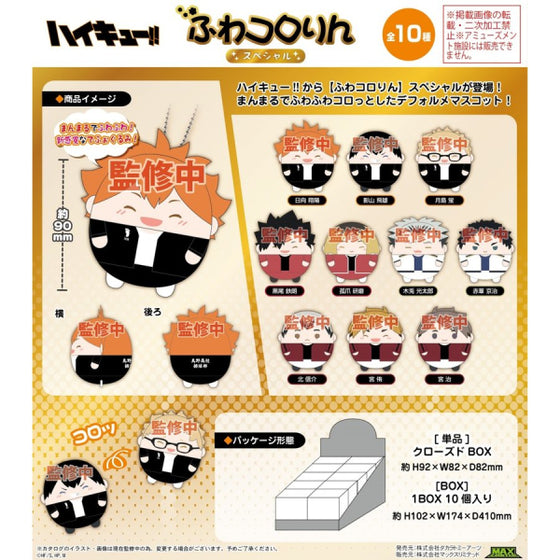 Haikyu !! Fluffy Kororin Special (Set of 10)