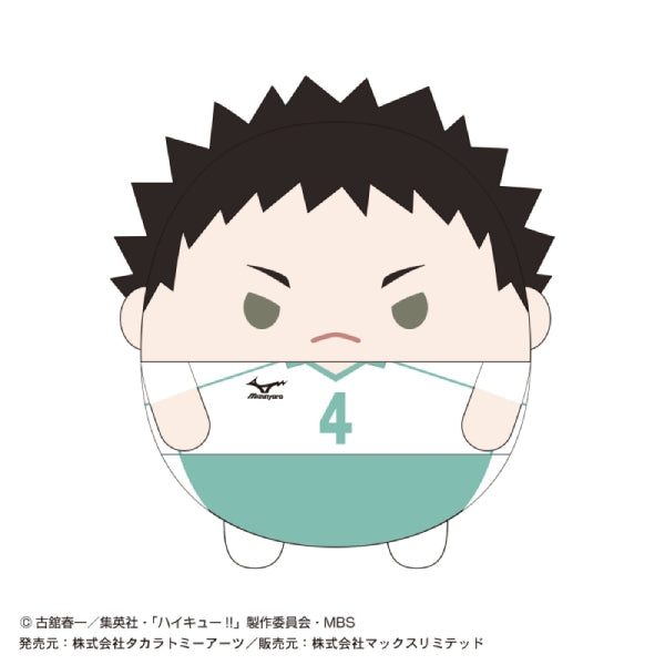 Haikyu!! 排球少年 Fuwakororin Msize 4 (7 variants)