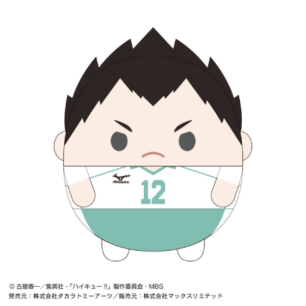 Haikyu!! 排球少年 Fuwakororin Msize 4 (7 variants)