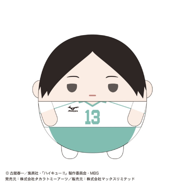 Haikyu!! 排球少年 Fuwakororin Msize 4 (7 variants)