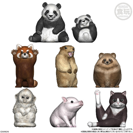 TE-NORI FRIENDS 9 ANIMAL W/O GUM (set of 8)