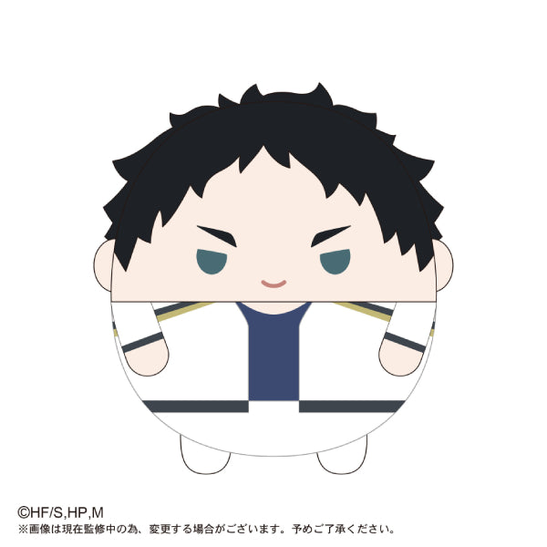 Haikyu!! 排球少年 Fuwakororin Big Special (10 variants)