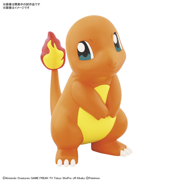 Pokemon PLAMO COLLECTION QUICK!! 11 Charmander pokepla 寵物小精靈 小火龍
