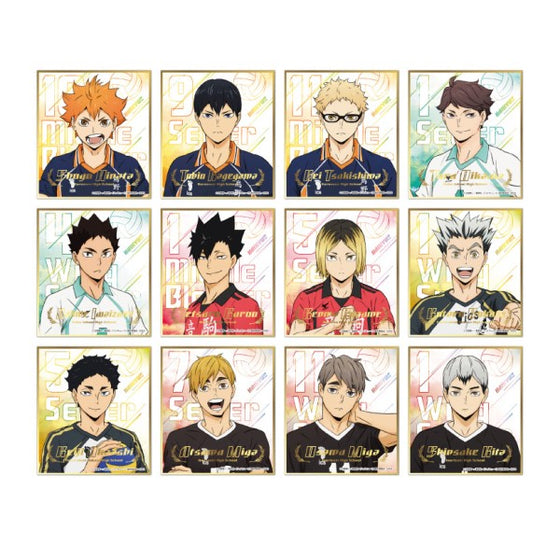 Haikyu!! Visual Shikishi Collection 7 (box of 12 packs) 排球少年 色紙