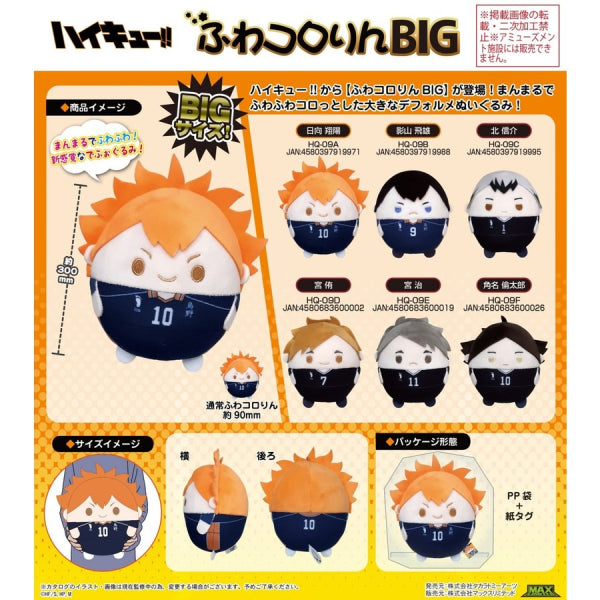 Haikyu!! Fuwakororin Big Series