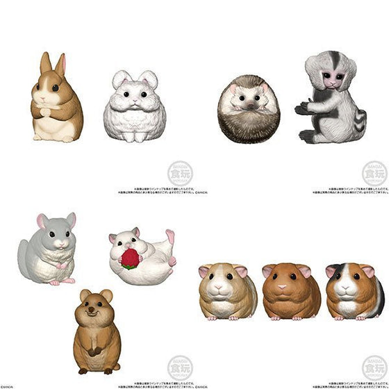 TE-NORI FRIENDS 5 W/O GUM (set of 10)