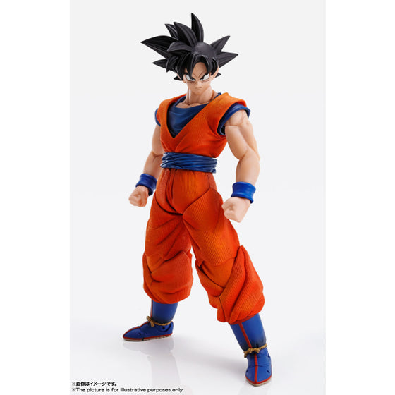 IMAGINATION WORKS - Dragon Ball Son Goku