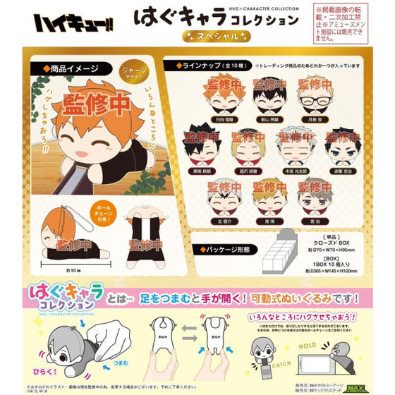 Haikyu !! Hug Character Collection Special (Set of 10)