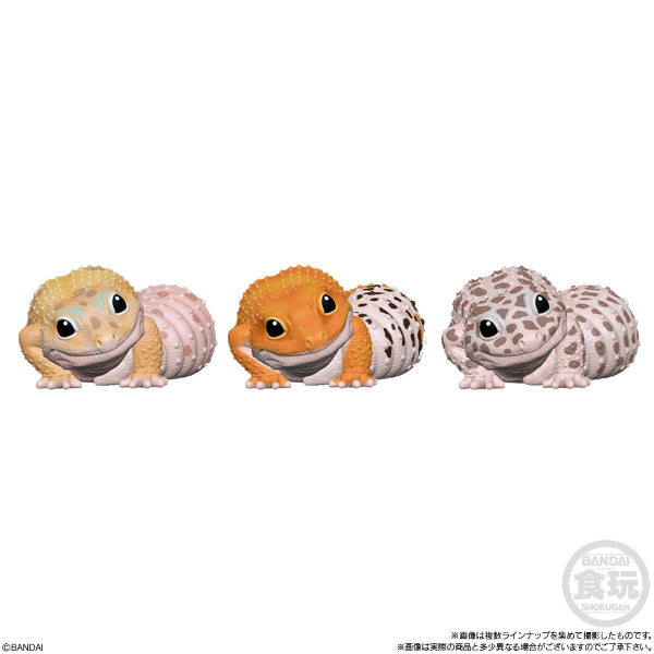 TE-NORI FRIENDS 6 -REPTILES- W/O GUM (set of 11)