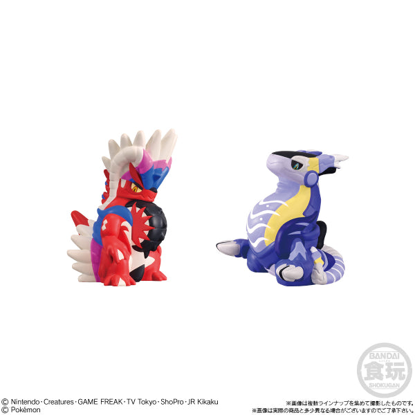POKEMON KIDS PALDEA REGION W/O GUM (box of 24) 寵物小精靈 寶可夢