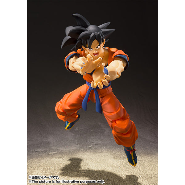 S.H.Figuarts SON GOKU -A SAIYAN RAISED ON EARTH- 龍珠 孫悟空