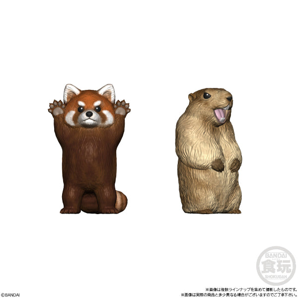 TE-NORI FRIENDS 9 ANIMAL W/O GUM (set of 8)