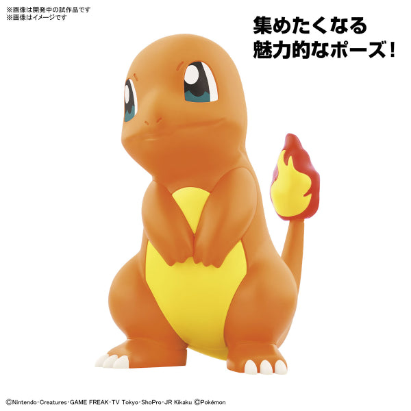 Pokemon PLAMO COLLECTION QUICK!! 11 Charmander pokepla 寵物小精靈 小火龍