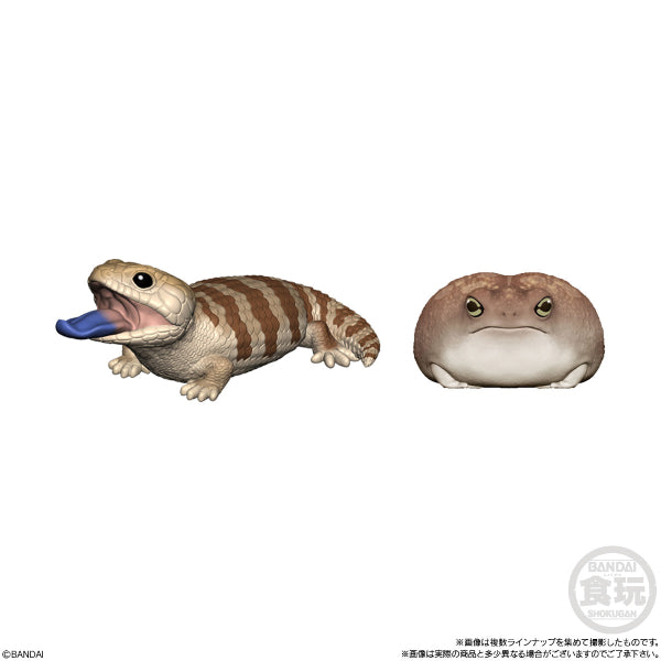 TE-NORI FRIENDS 6 -REPTILES- W/O GUM (set of 11)