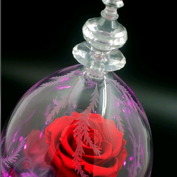 Disney Beauty and The Beast Bluetooth Smartphone Laptop Speaker with 3.5 Audio In